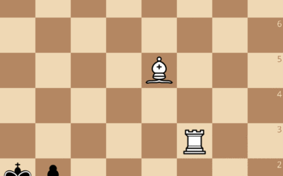 Exercices du cours de Patrice Etchegaray