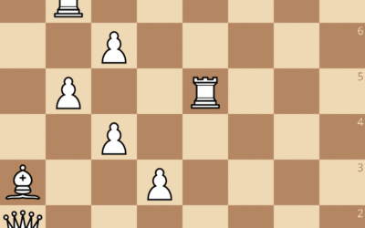 Exercices du cours de Patrice Etchegaray