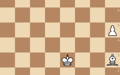 Exercices du cours de Patrice Etchegaray