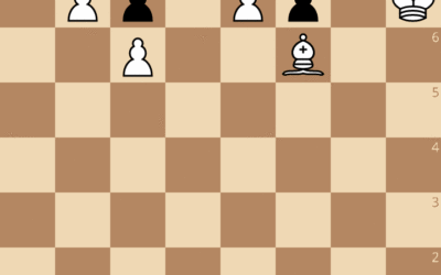 Exercices du cours de Patrice Etchegaray