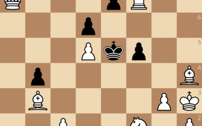 Exercices du cours de Patrice Etchegaray