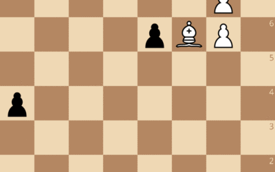 Exercices de Patrice Etchegaray